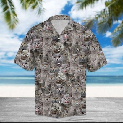 British Shorthair Hawaiian Shirt Summer,Hawaiian Shirt Gift, Christmas Gift