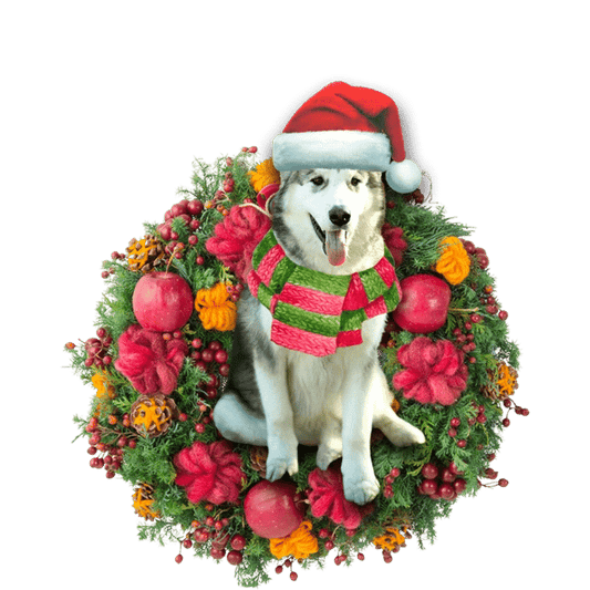 Ornáid Nollag Malamute Alaskan, Bronntanas Ornáide Nollag, Bronntanas Nollag, Maisiú Nollag