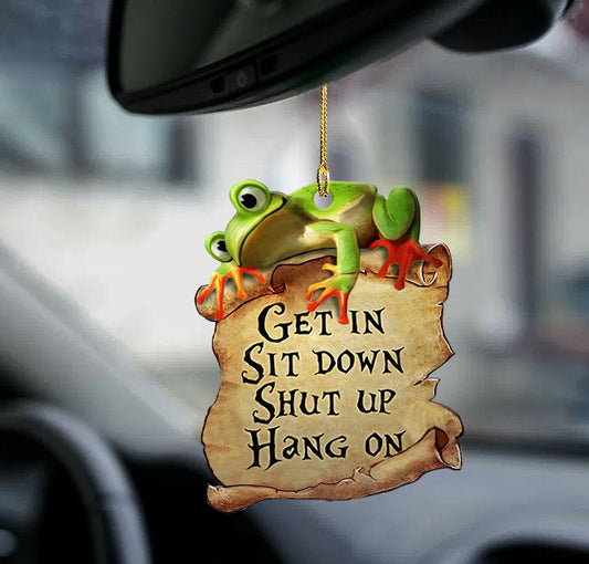 Frog get in frog lover two sided ornament Frog car ornaments, Christmas Decoration