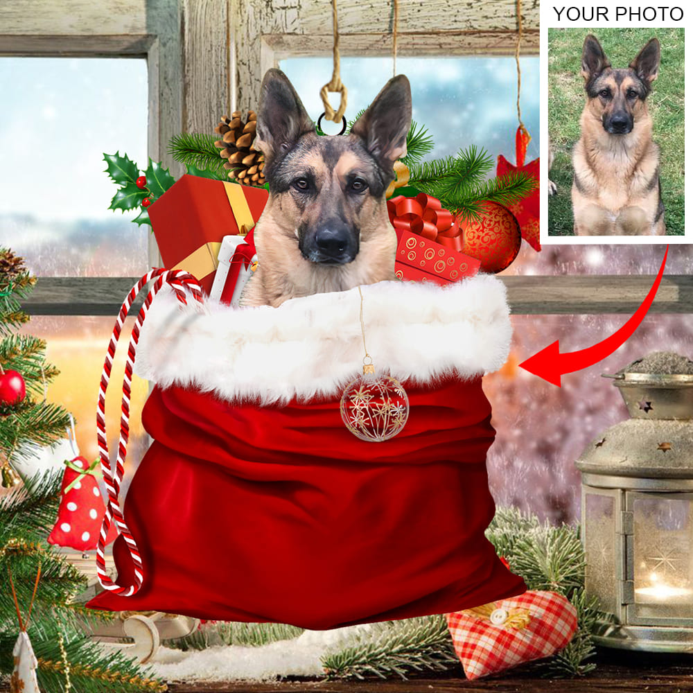 Personalized Gift For Pet Lovers Pet In Xmas Bag Ornament - Best gifts your whole family