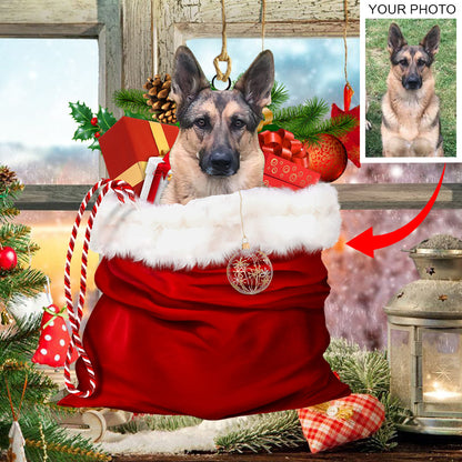 Personalized Gift For Pet Lovers Pet In Xmas Bag Ornament - Best gifts your whole family