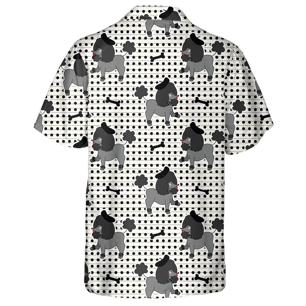 Madra Puppy Poodle Dubh Le Léine Haváis Chnámh, haváís le haghaidh bronntanais