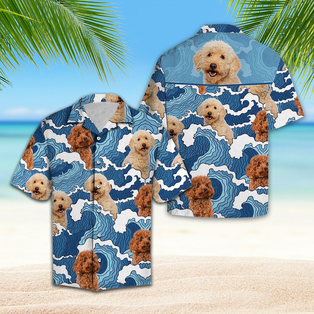 Tonnta Doodle Gorm Aigéin Le Léine Poodle Haváís, Bronntanas Léine Haváise, Bronntanas Nollag