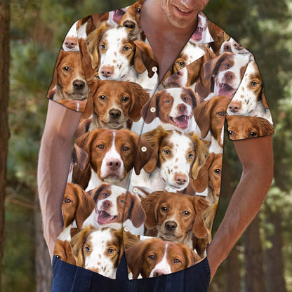 Madra na Briotáine i gcónaí In aice Leat Léine Haváí, Haváis mar Bhronntanas