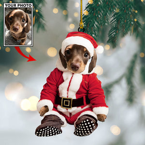 Personalized Gift For Pet Lovers Pet In Santa Claus Costume, Christmas Ornament, Christmas Gift