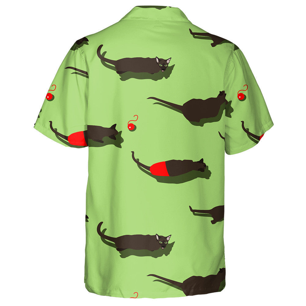 Cat Dubh Oriental Ar Chúlra Glas Léine Haváí, Haváise Don Bronntanas