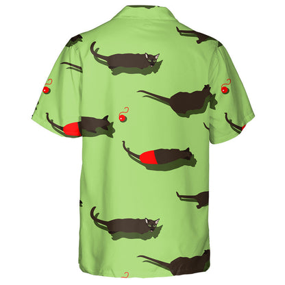 Cat Dubh Oriental Ar Chúlra Glas Léine Haváí, Haváise Don Bronntanas