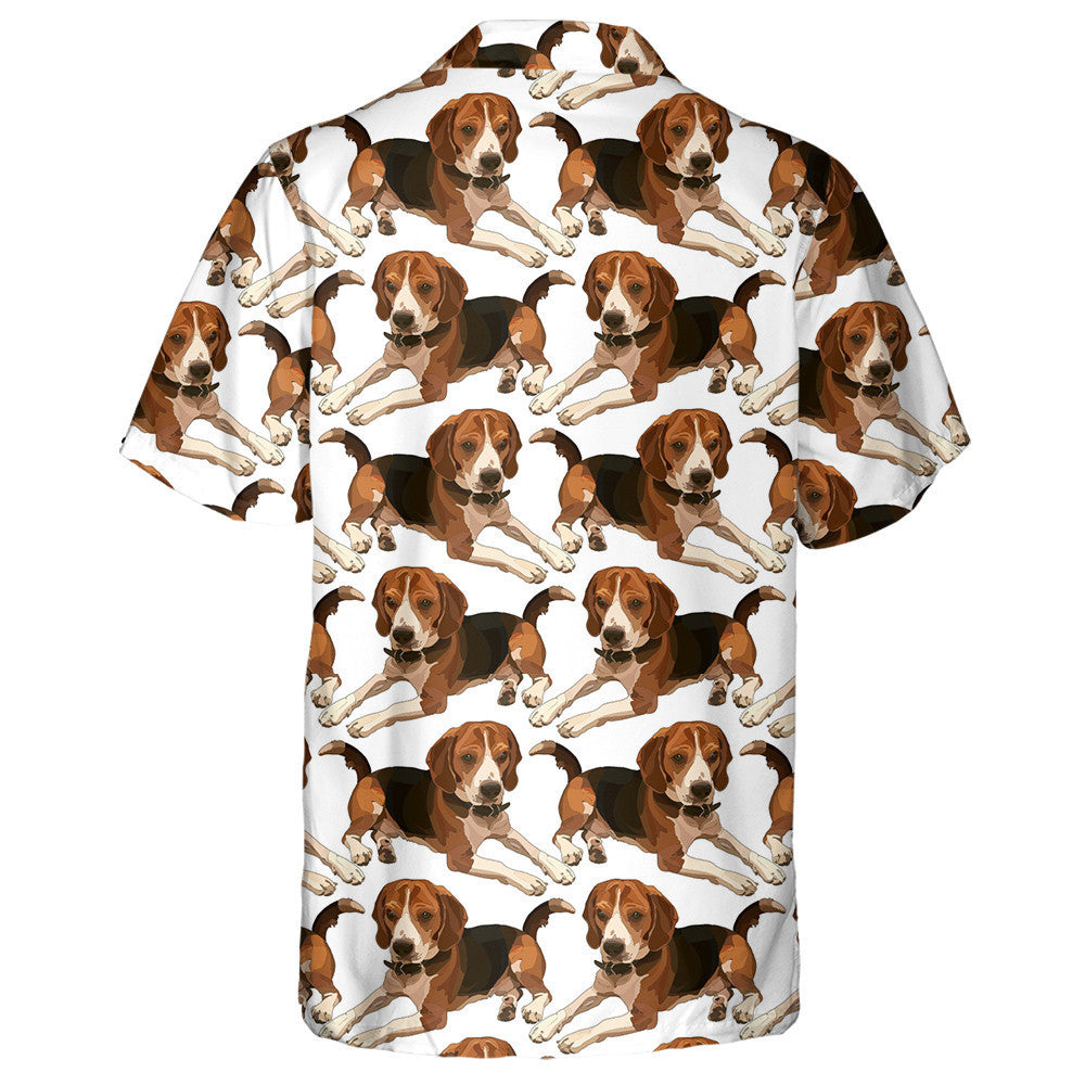 Tarraingt de Láimh Beagle i mBeartú Léine Réalaíoch Haváís, Haváis mar Bhronntanas