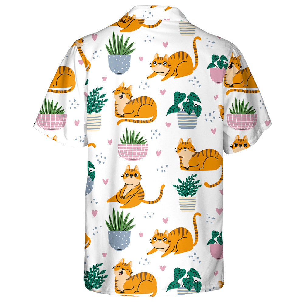 Cartún Cait Dearga Greannmhar agus Plandaí i bPota Léine Haváís, Bronntanas Léine Haváíais, Bronntanas Nollag