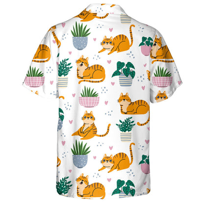 Cartún Cait Dearga Greannmhar agus Plandaí i bPota Léine Haváís, Bronntanas Léine Haváíais, Bronntanas Nollag