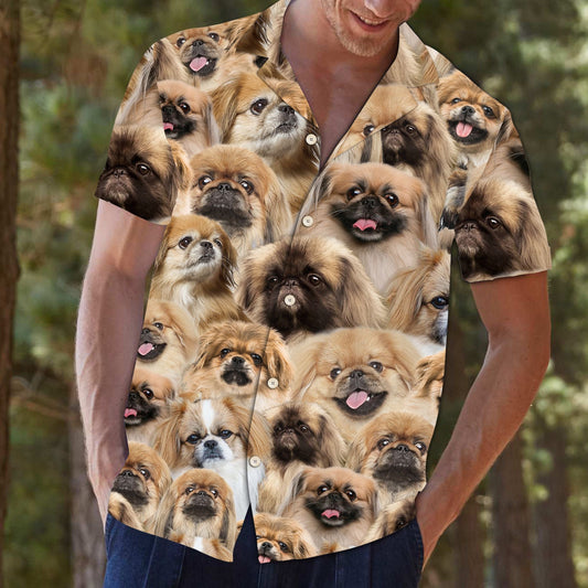 Bailiúchán Aghaidheanna Uathúla Ainmhithe do Leanbh Pekingese Léine Haváí le téamaí, Bronntanas Léine Haváís, Bronntanas Nollag