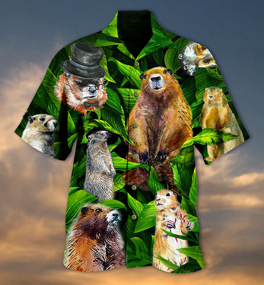 Ainmhithe LoveLy Dovely - Léine Haváís, Bronntanas Léine Haváís, Bronntanas Nollag