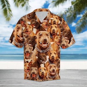 Awesome Pitbull With Chain Pattern Hawaiian Shirt, Hawaiian For Gift