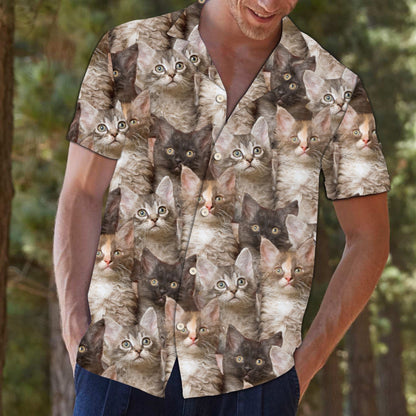 Bronntanas Aghaidh Cat Uathúil Laperm Do Lovers Cat Léine Haváís, Bronntanas Léine Haváís, Bronntanas Nollag