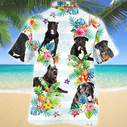 Bláth Trópaiceach Madra Canna Corso Léine Haváí Stiall Cothrománach, Bronntanas Léine Haváís, Bronntanas Nollag