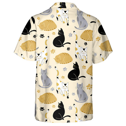 Priontaí Cait Agus Lapa Ar Léine Buí Haváís, Haváis mar Bhronntanas