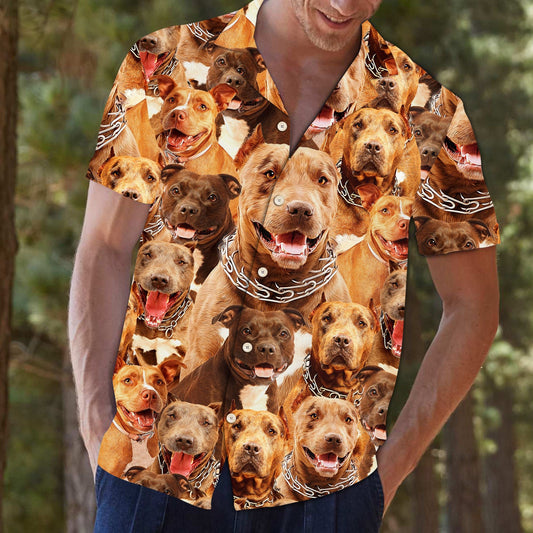 Awesome Pitbull Dog Face With Different Emotion Hawaiian Shirt, Hawaiian Shirt Gift, Christmas Gift