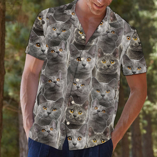 Gleoite Chartreux Meme Awesome Patrún Aghaidh As Cat Léine Haváís, Bronntanas Léine Haváís, Bronntanas Nollag