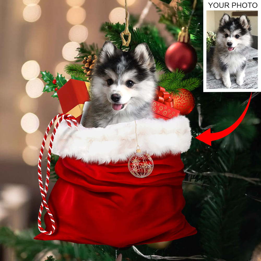 Personalized Gift For Pet Lovers Pet In Xmas Bag Ornament - Best gifts your whole family