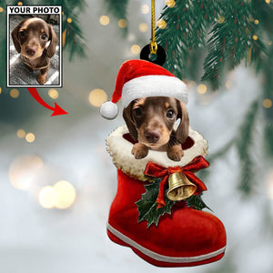 Personalized Gift For Pet Lovers Pet In Santa Shoes, Pet Love Gift, Christmas Ornament, Christmas Gift
