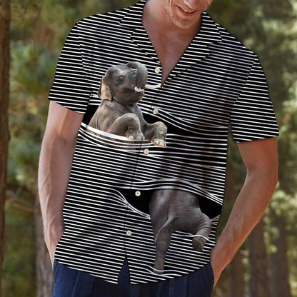 Baby Elephant With Black White Lines Hawaiian Shirt, Hawaiian For Gift