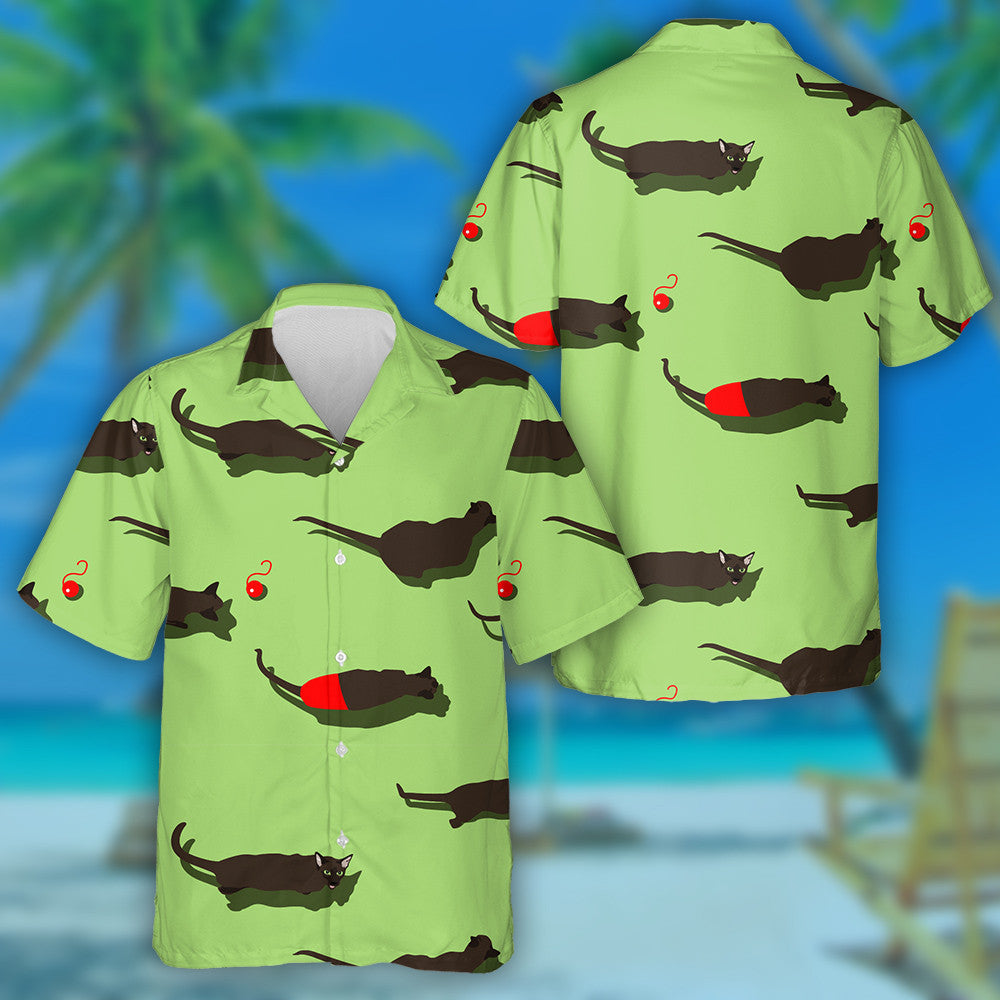 Cat Dubh Oriental Ar Chúlra Glas Léine Haváí, Haváise Don Bronntanas