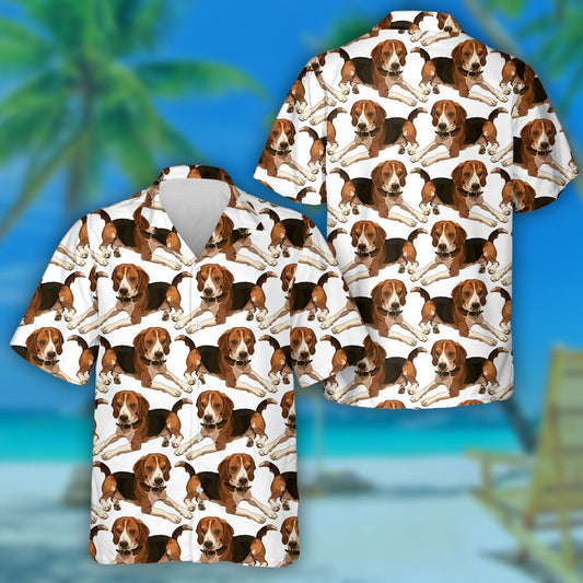 Tarraingt de Láimh Beagle i mBeartú Léine Réalaíoch Haváís, Haváis mar Bhronntanas