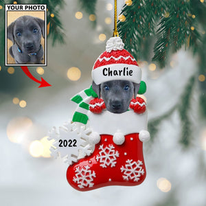 Personalized Gift For Pet Lovers Pet In Christmas Sock 2022, Christmas Ornament, Christmas Gift
