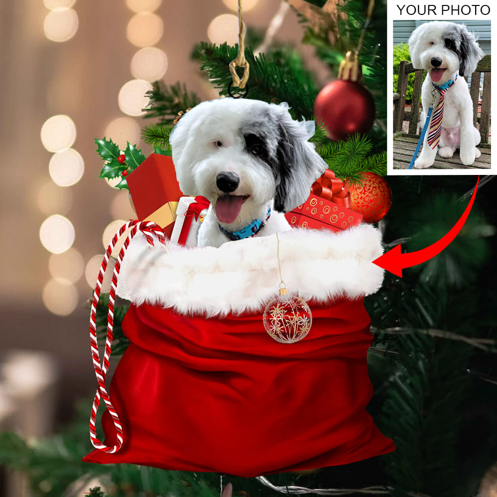 Personalized Gift For Pet Lovers Pet In Xmas Bag Ornament - Best gifts your whole family