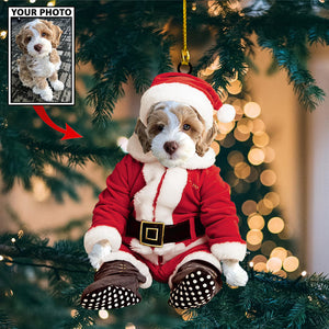 Personalized Gift For Pet Lovers Pet In Santa Claus Costume, Christmas Ornament, Christmas Gift
