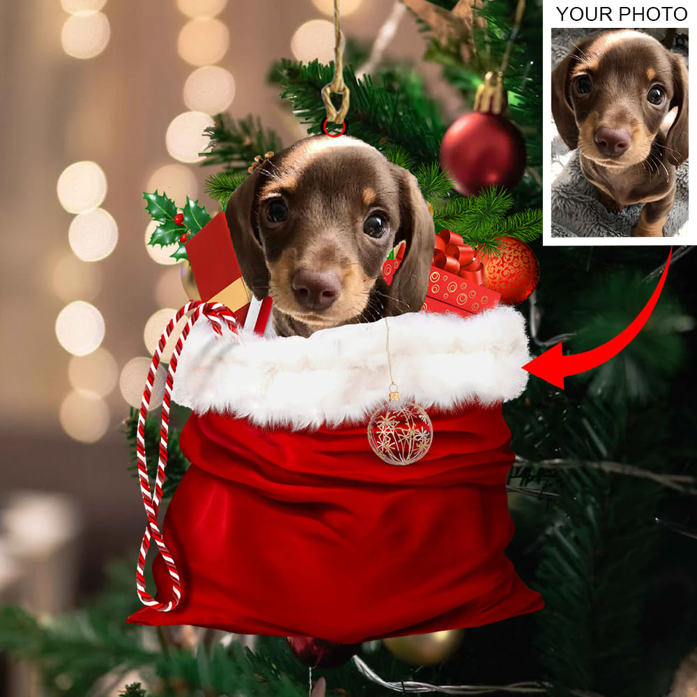 Personalized Gift For Pet Lovers Pet In Xmas Bag Ornament - Best gifts your whole family