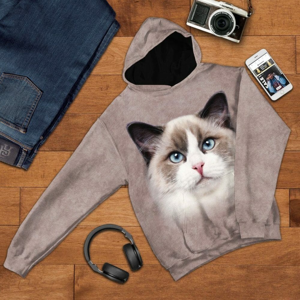 Éadaí Cochaillín Tléine Ragdoll Cat 3D