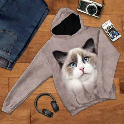 Éadaí Cochaillín Tléine Ragdoll Cat 3D