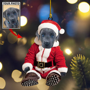 Personalized Gift For Pet Lovers Pet In Santa Claus Costume, Christmas Ornament, Christmas Gift