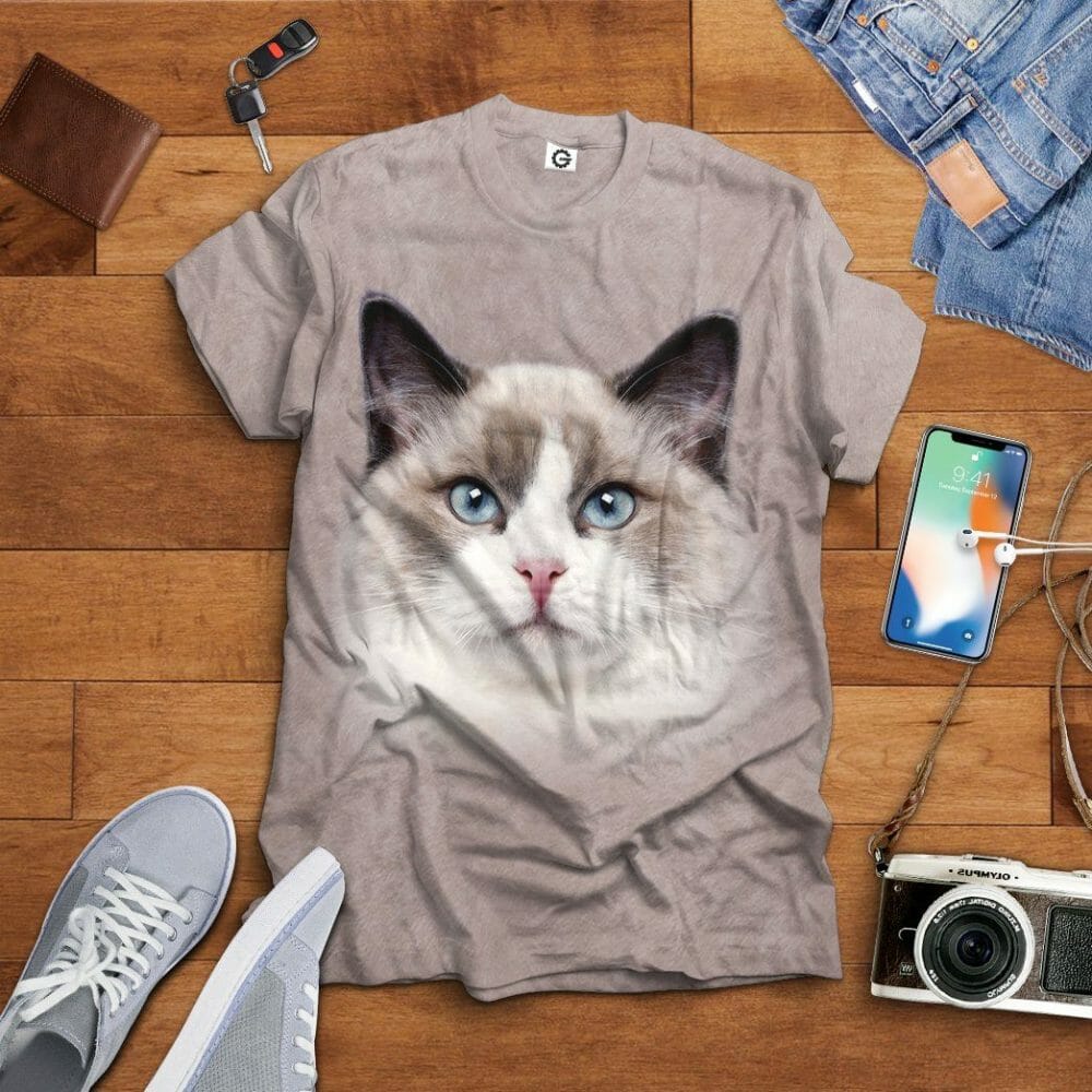 Éadaí Cochaillín Tléine Ragdoll Cat 3D