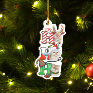Persian Cat Ornaments Set, Meowy Christmas Ornaments Set, Funny Xmas Ornaments Family Gift Idea For Cat Lover