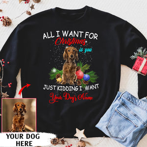 All I want for Christmas is you just kidding I want my dog - Funny personalized dog lover sweatshirt Merry Christmas  unique gift idea