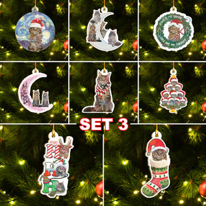 Maine Coon Cat Ornaments Set, Meowy Christmas Ornaments Set, Funny Xmas Ornaments Family Gift Idea For Cat Lover