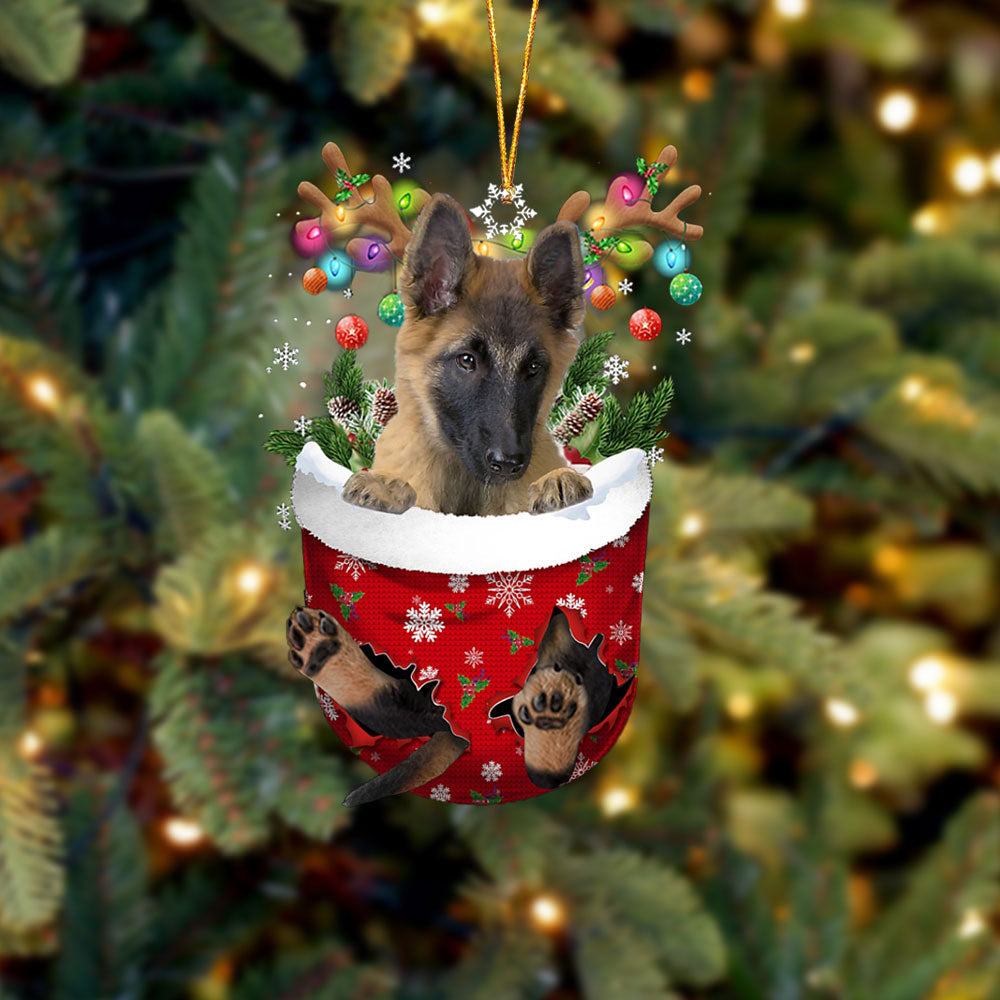 Belgian Tervuren In Snow Pocket Christmas Ornament Flat Acrylic Dog Ornament - Best gifts your whole family