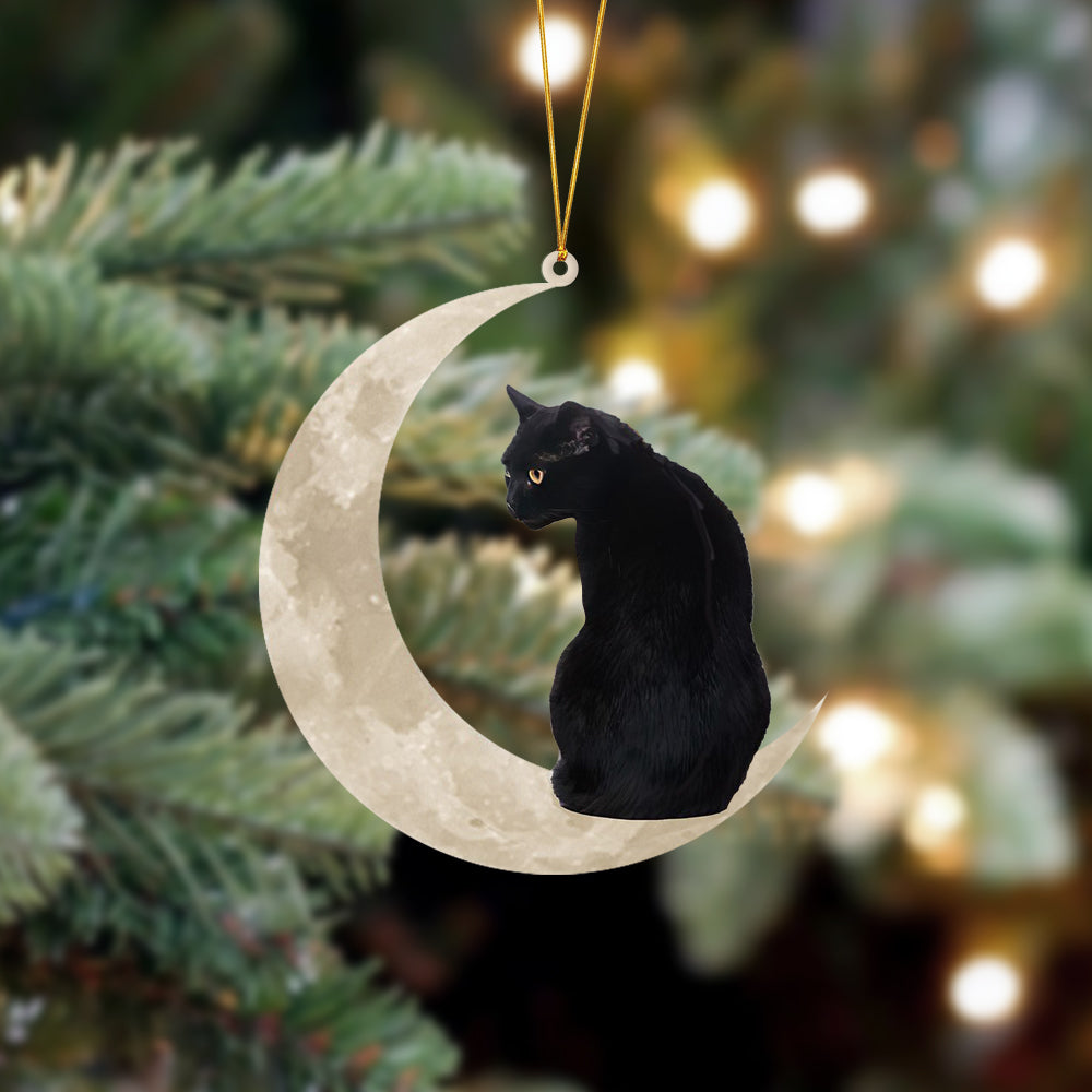 Black Cat Sits On The Moon Hanging Ornament Cat Christmas Acrylic Ornament - Best gifts your whole family