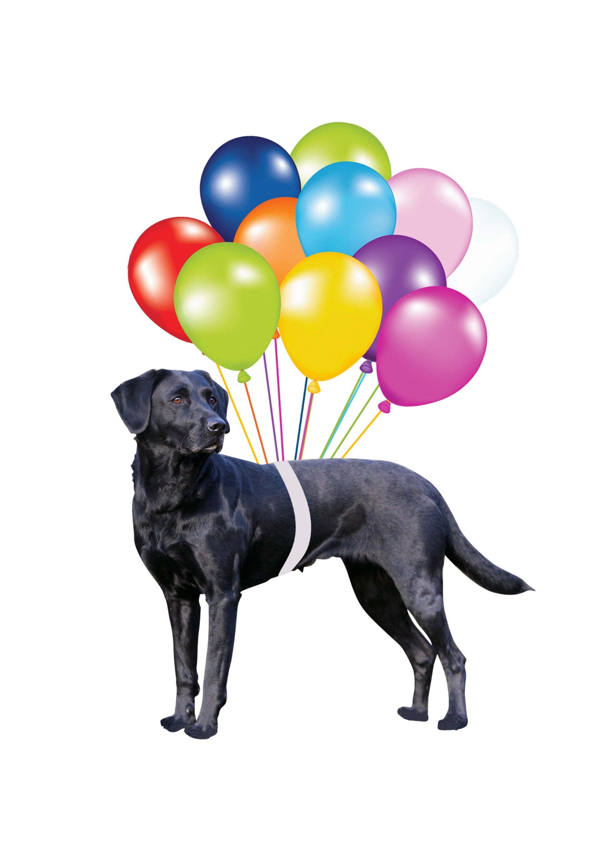 Black Labrador Fly With Bubbles Hanging Ornament Dog Ornament Godmerc - Best gifts your whole family