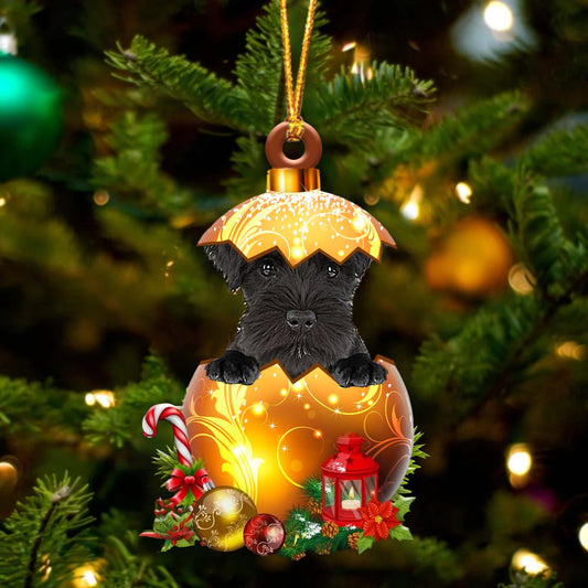 BLACK Miniature Schnauzer In Golden Egg Christmas Ornament - Best gifts your whole family