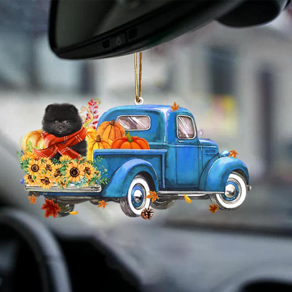 BLACK Pomeranian-Little Pumpkin-Two Sided Ornament - Best gifts your whole family
