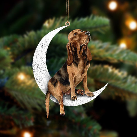 Bloodhound-Sit On The Moon-Two Sided Ornament - Best gifts your whole family