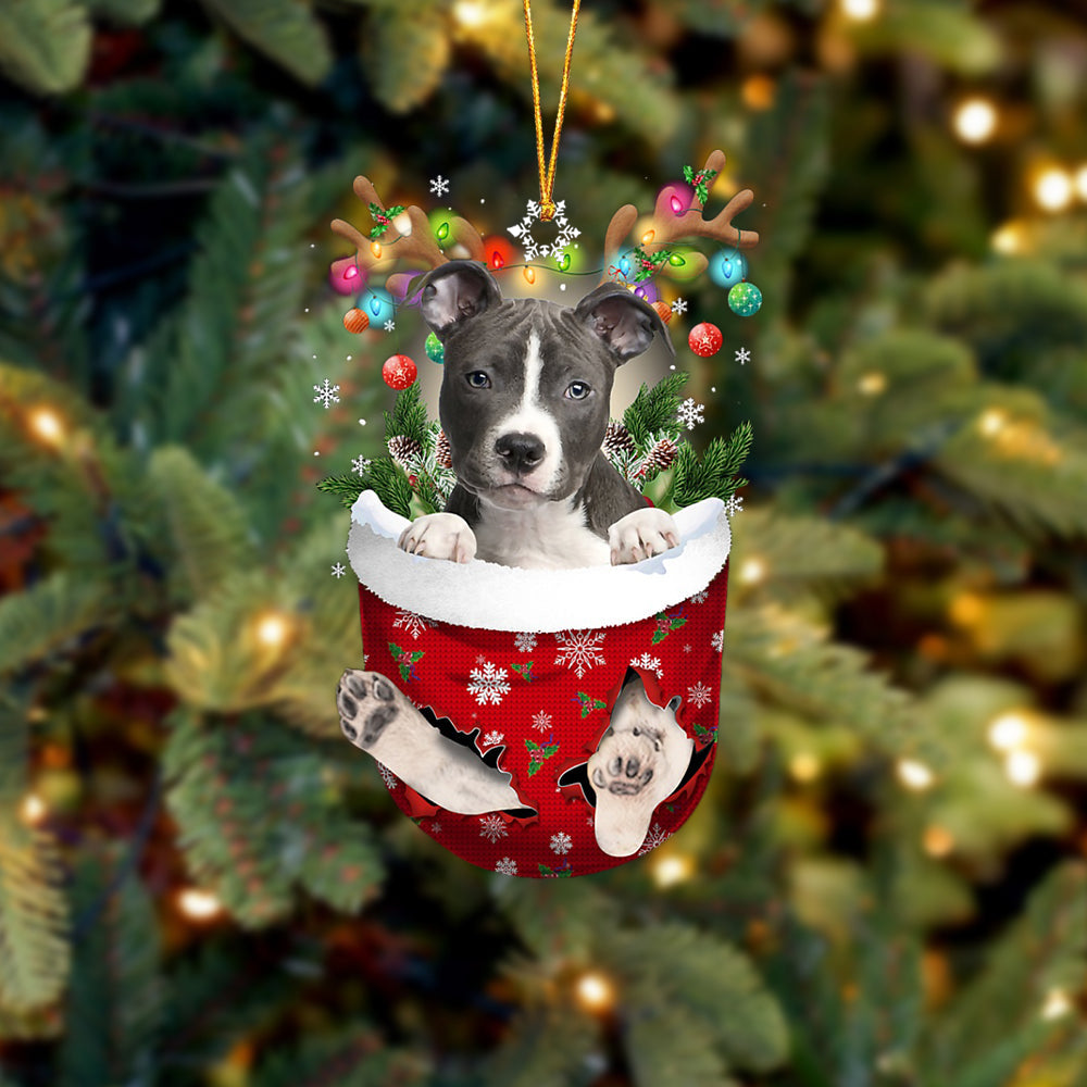 BLUE Nose Pitbull In Snow Pocket Christmas Ornament Flat Acrylic Dog Ornament - Best gifts your whole family