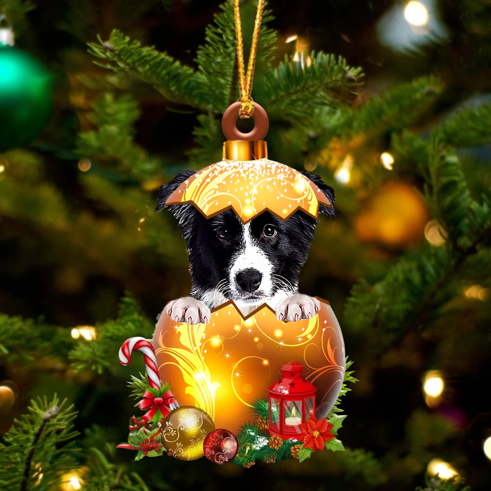 Border Collie In Golden Egg Christmas Ornament - Best gifts your whole family