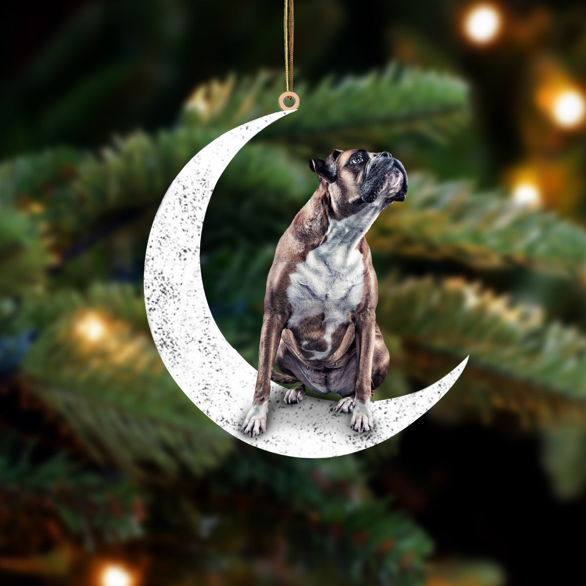 Box 2 Sit On The Moon Two Sided Ornament Dog Hanging Christmas Ornament - Best gifts your whole family