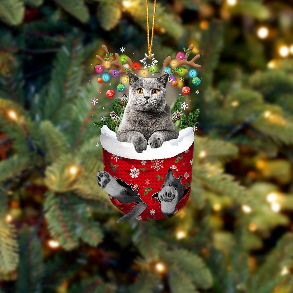 Cat 11 In Snow Pocket Christmas Ornament - Best gifts your whole family
