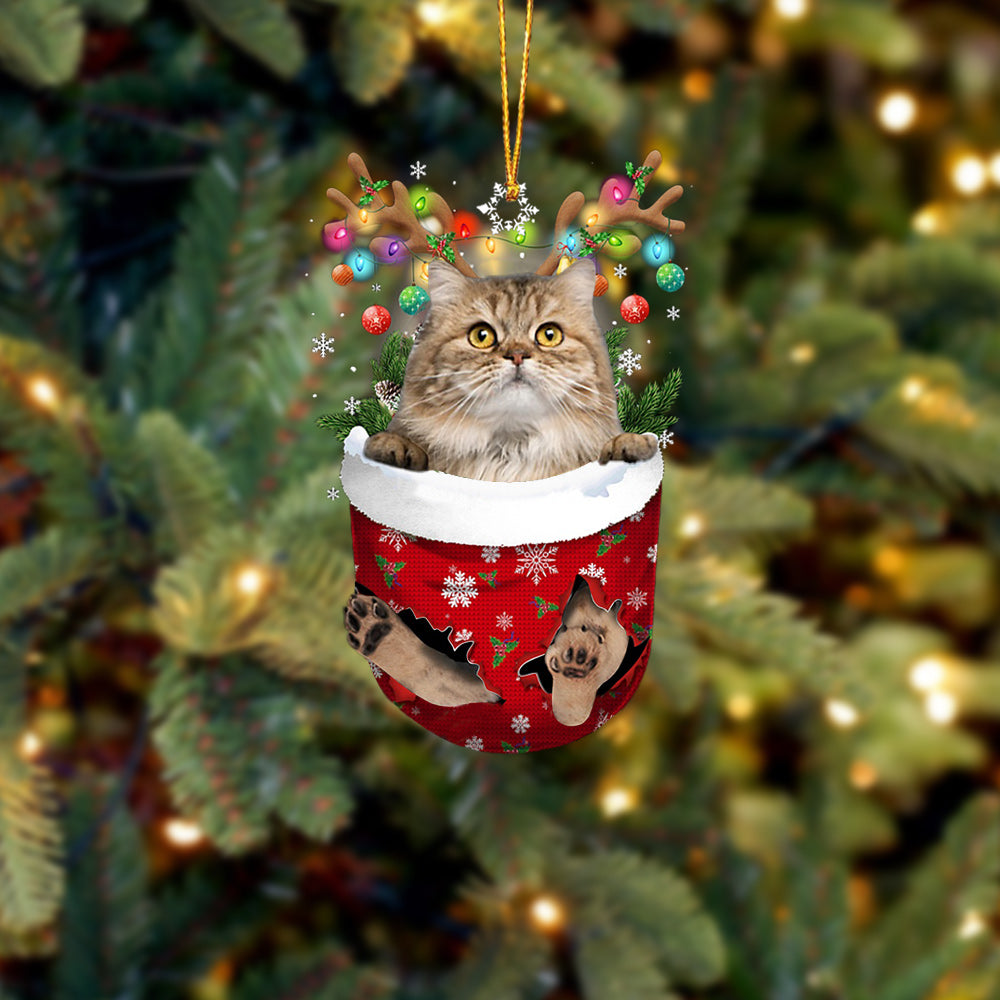 Cat 16 In Snow Pocket Christmas Ornament - Best gifts your whole family