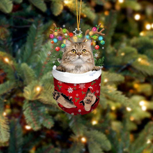 Cat 16 In Snow Pocket Christmas Ornament - Best gifts your whole family